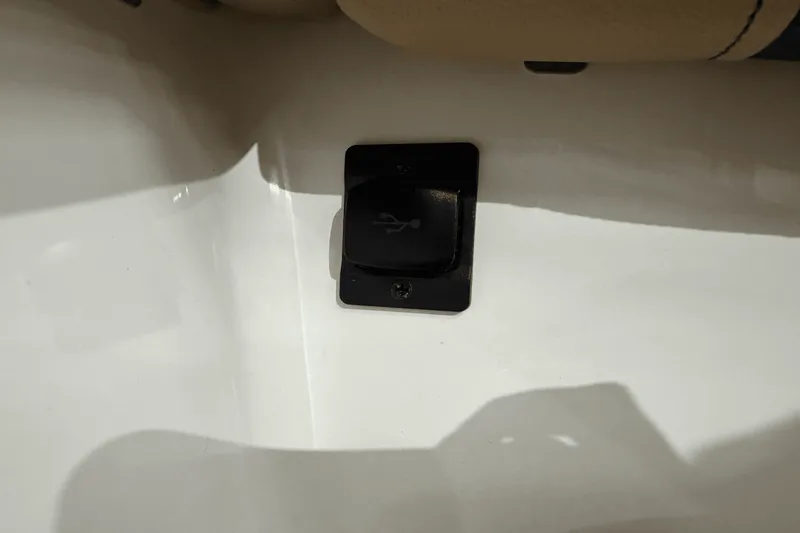 Slide: The Image of Sea Ray 250 SDX 2025 - 43