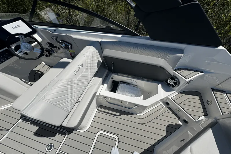 Slide: The Image of Sea Ray 250 SDX 2025 - 10