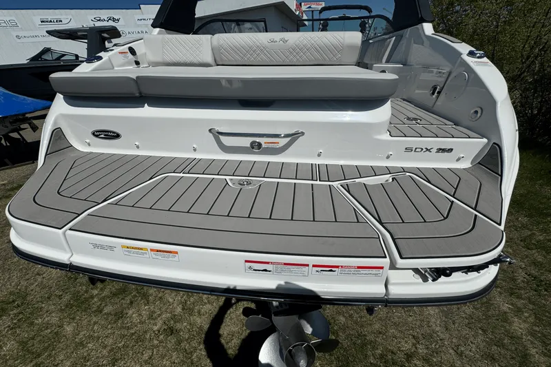 Slide: The Image of Sea Ray 250 SDX 2025 - 6