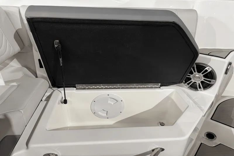 Slide: The Image of Sea Ray SDX 250 Surf 2025 - 20