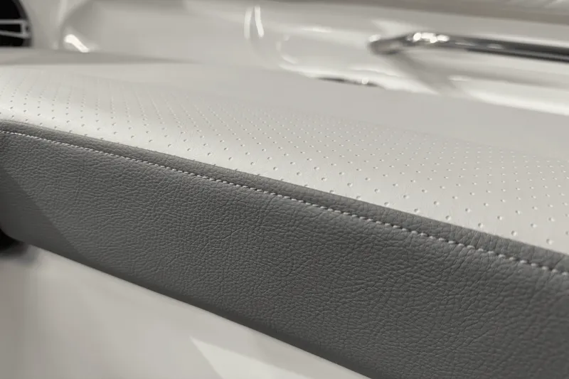 Slide: The Image of Sea Ray SDX 250 Surf 2025 - 39