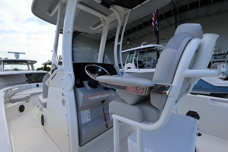 Slide: The Image of Boston Whaler 250 Dauntless 2026 - 10