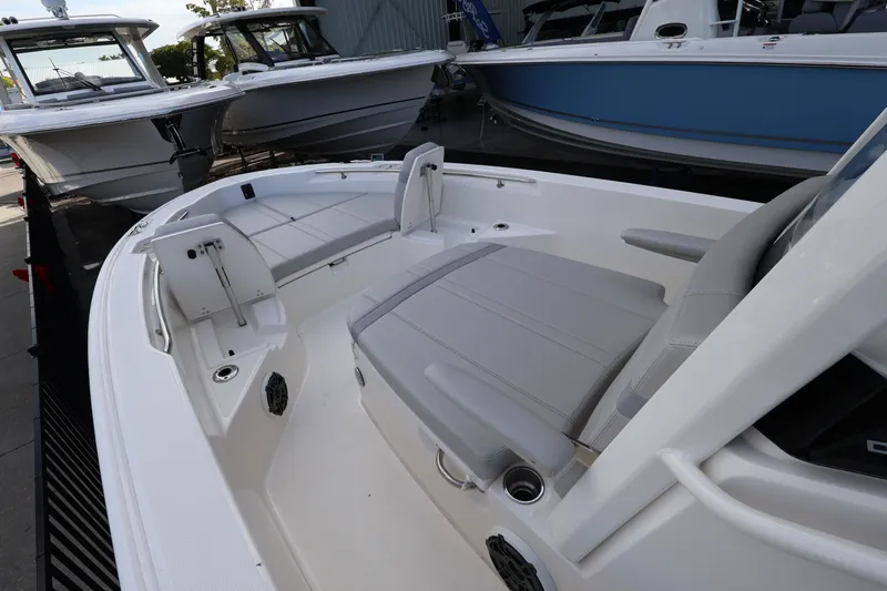 Slide: The Image of Boston Whaler 250 Dauntless 2026 - 16