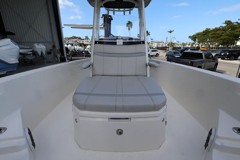 Slide: The Image of Boston Whaler 250 Dauntless 2026 - 18