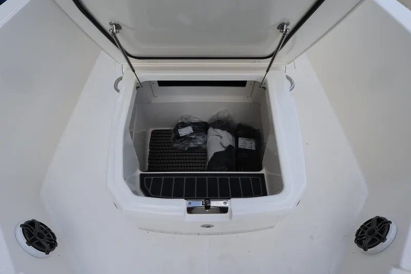 Slide: The Image of Boston Whaler 250 Dauntless 2026 - 20