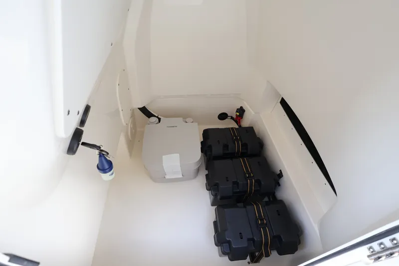 Slide: The Image of Boston Whaler 250 Dauntless 2026 - 23