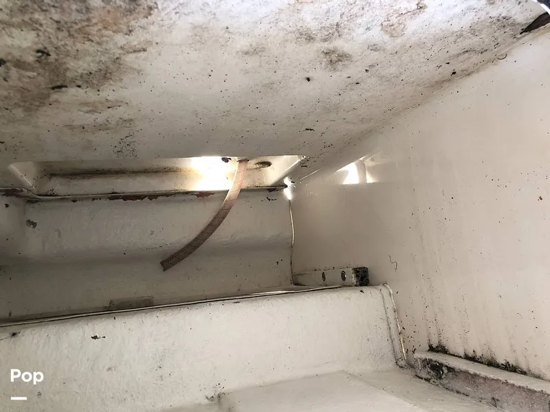 Slide: The Image of Sea Ray 270 Sundancer 1999 - 10722440