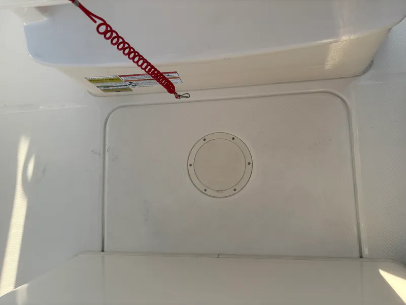 Slide: The Image of Grady-White Fisherman 236 2026 - 26