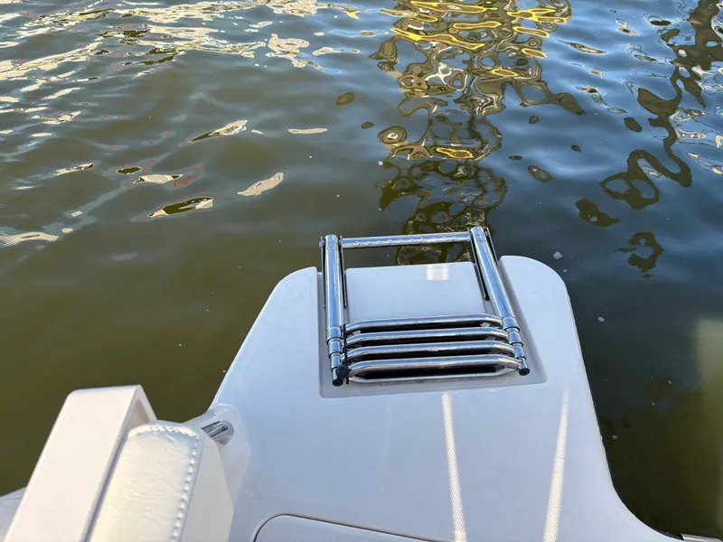 Slide: The Image of Grady-White Fisherman 236 2026 - 36