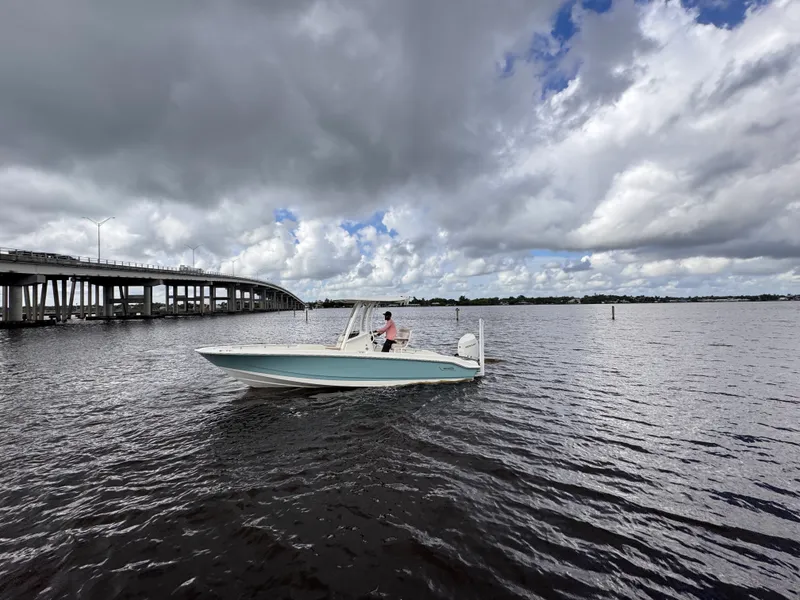The Image of Boston Whaler 250 Dauntless 2026 - 0