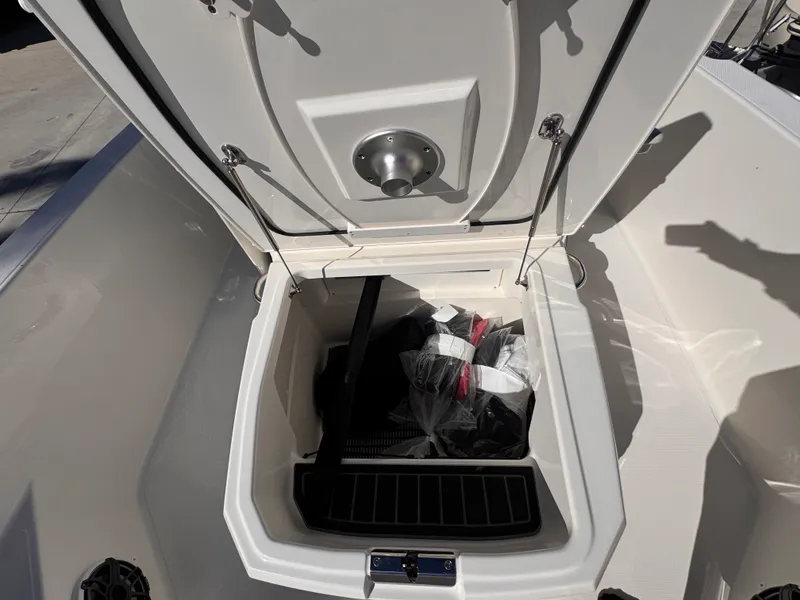 Slide: The Image of Boston Whaler 250 Dauntless 2026 - 23