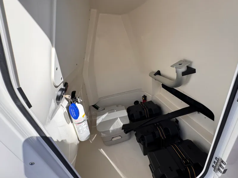 Slide: The Image of Boston Whaler 250 Dauntless 2026 - 26