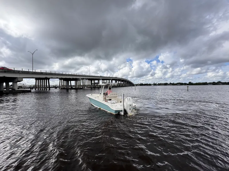 Slide: The Image of Boston Whaler 250 Dauntless 2026 - 5