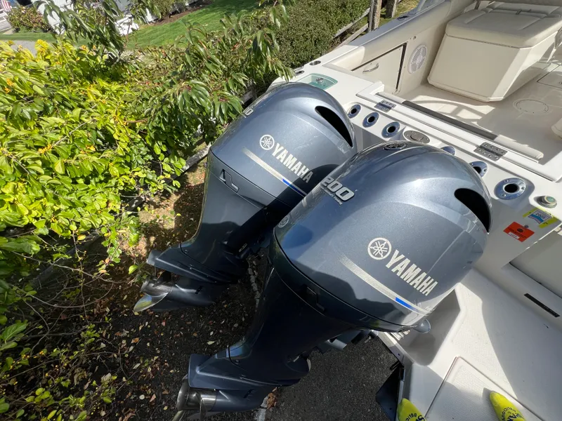 Slide: The Image of Sail Fish 276 DC 2021 - 18