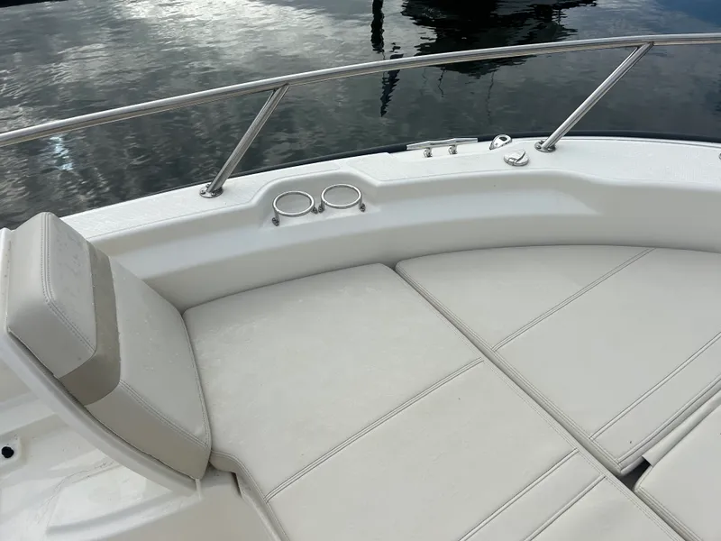 Slide: The Image of Boston Whaler 250 DAUNTLESS 2024 - 11