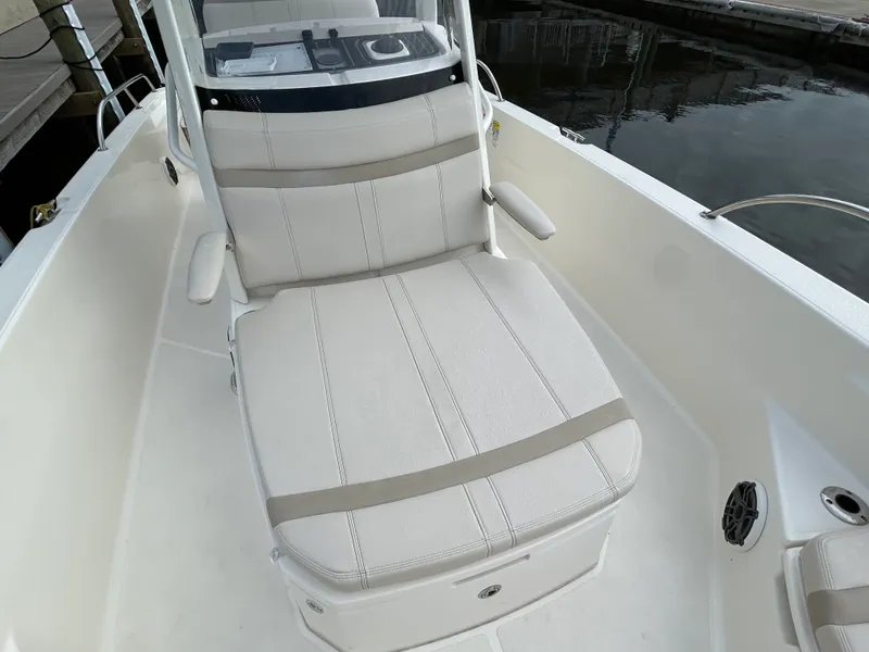 Slide: The Image of Boston Whaler 250 DAUNTLESS 2024 - 12