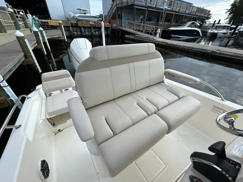 Slide: The Image of Boston Whaler 250 DAUNTLESS 2024 - 17