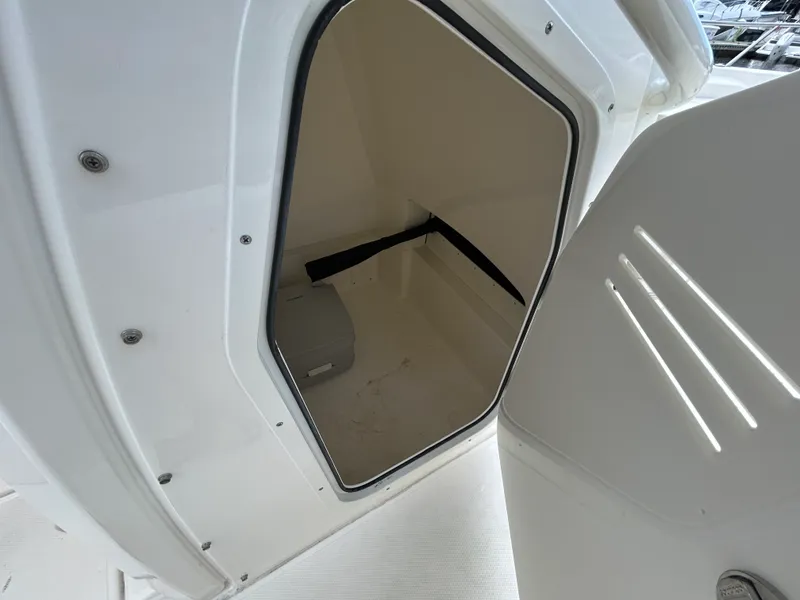 Slide: The Image of Boston Whaler 250 DAUNTLESS 2024 - 25
