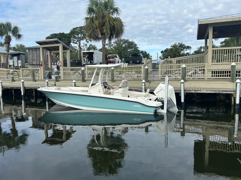 Slide: The Image of Boston Whaler 250 DAUNTLESS 2024 - 4