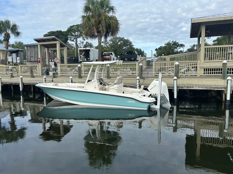 Slide: The Image of Boston Whaler 250 DAUNTLESS 2024 - 5