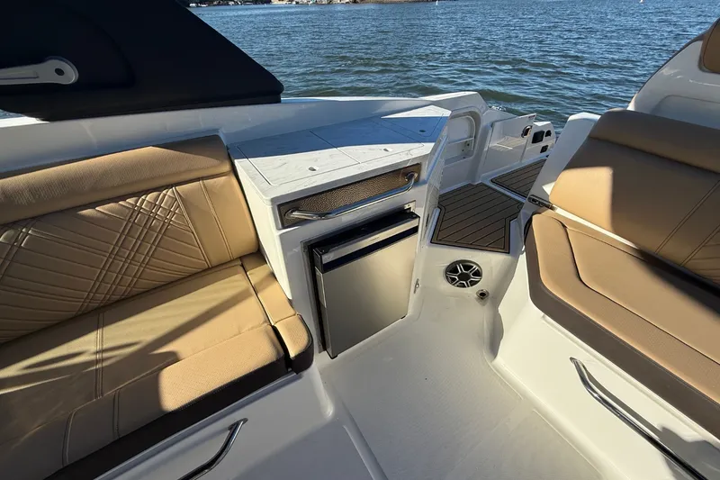 Slide: The Image of Sea Ray SDX 290 2026 - 11