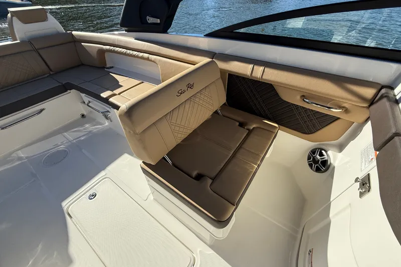 Slide: The Image of Sea Ray SDX 290 2026 - 19