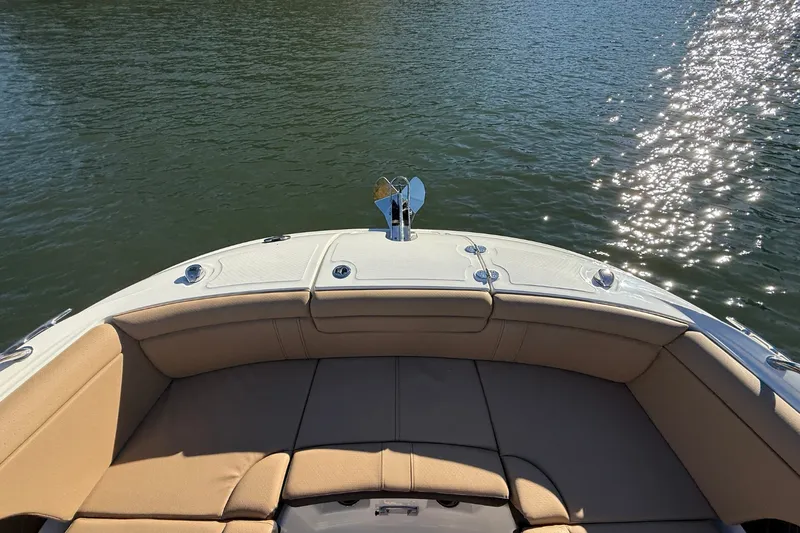 Slide: The Image of Sea Ray SDX 290 2026 - 31