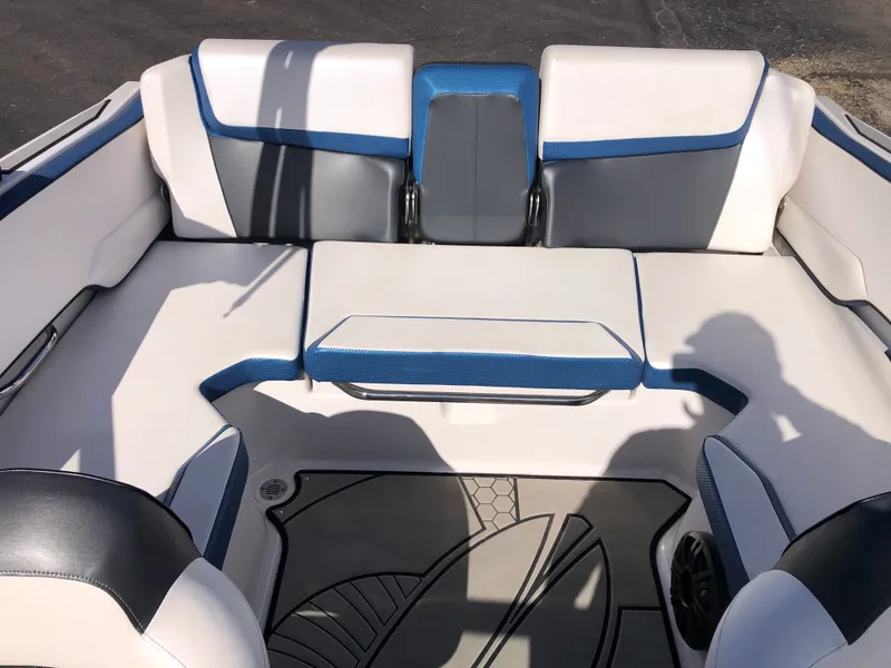 Slide: The Image of Scarab 195 ID 2019 - 13