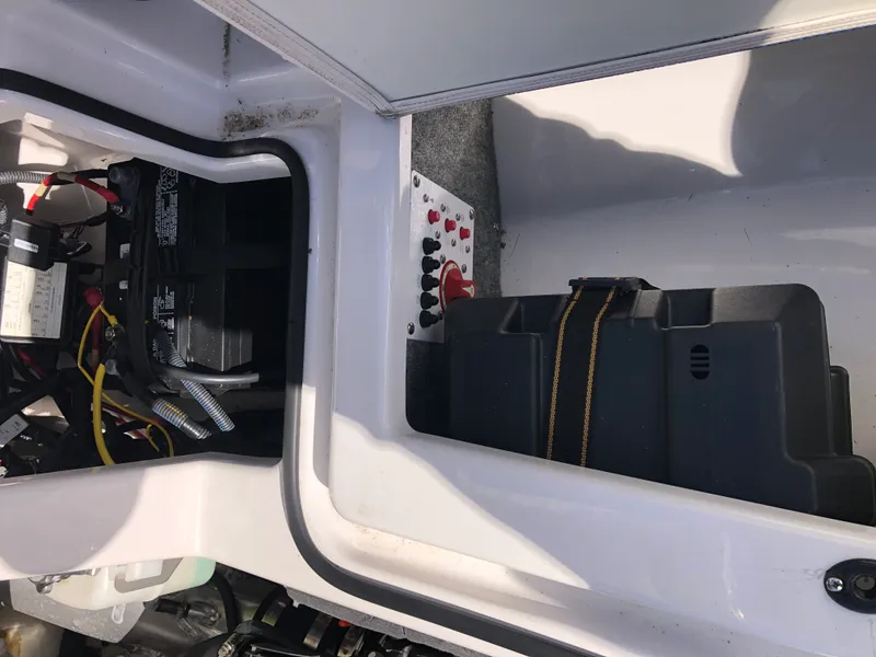 Slide: The Image of Scarab 195 ID 2019 - 16