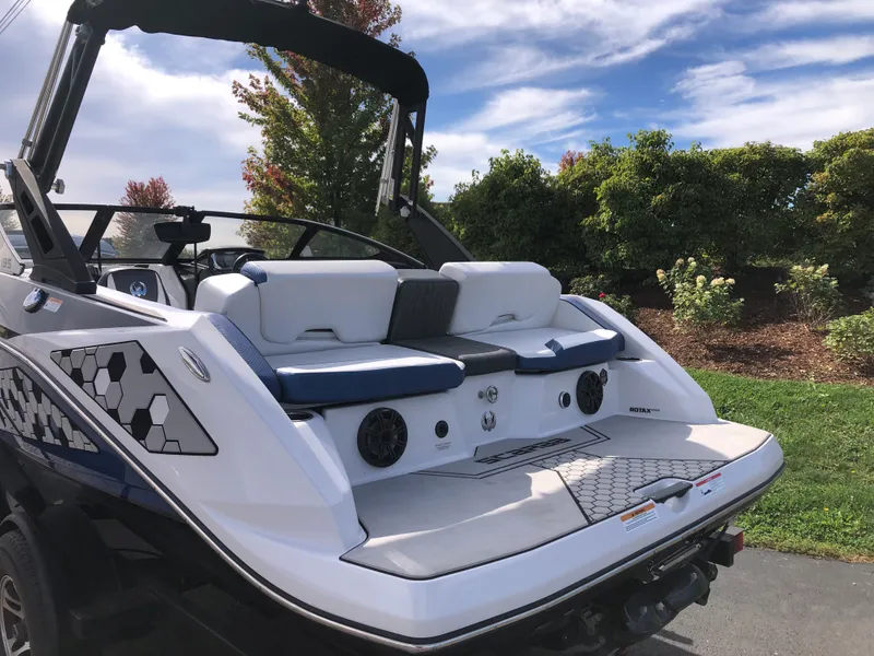 Slide: The Image of Scarab 195 ID 2019 - 4