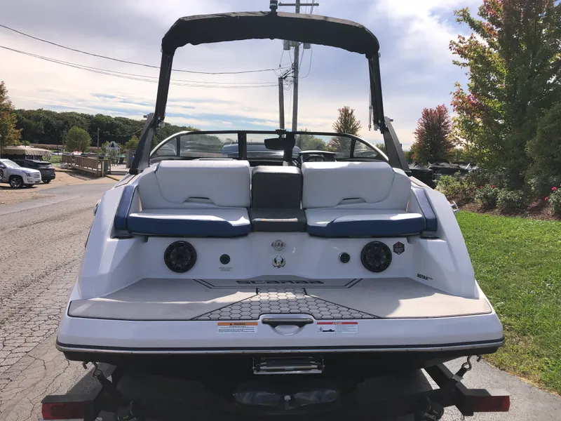 Slide: The Image of Scarab 195 ID 2019 - 5