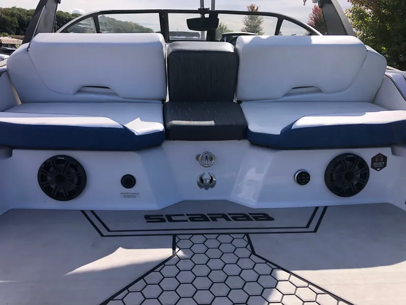 Slide: The Image of Scarab 195 ID 2019 - 6