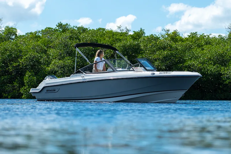 The Image of Boston Whaler 210 Vantage 2026 - 0