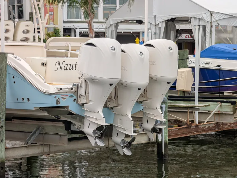 Slide: The Image of Cobia 344 CC 2019 - 5