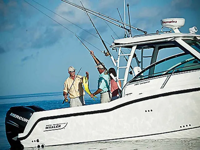 Slide: The Image of Boston Whaler 285 Conquest 2026 - 4