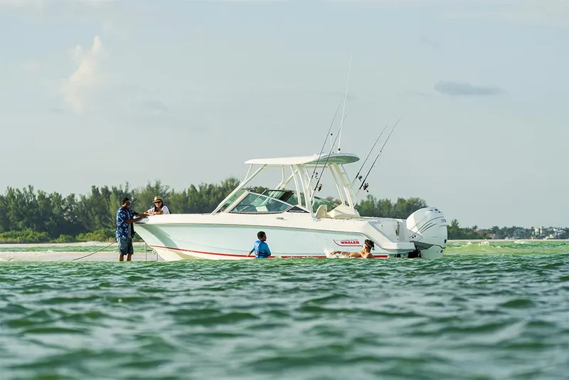 Slide: The Image of Boston Whaler 240 Vantage 2025 - 61