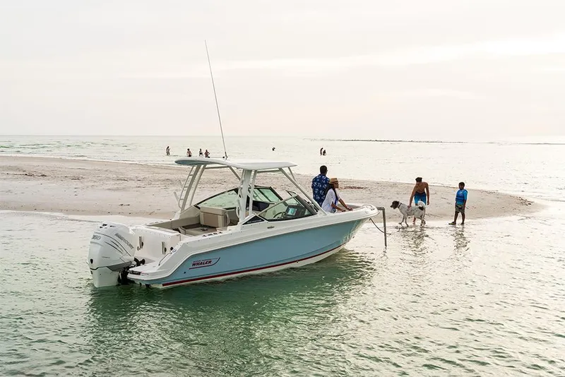 Slide: The Image of Boston Whaler 240 Vantage 2025 - 64