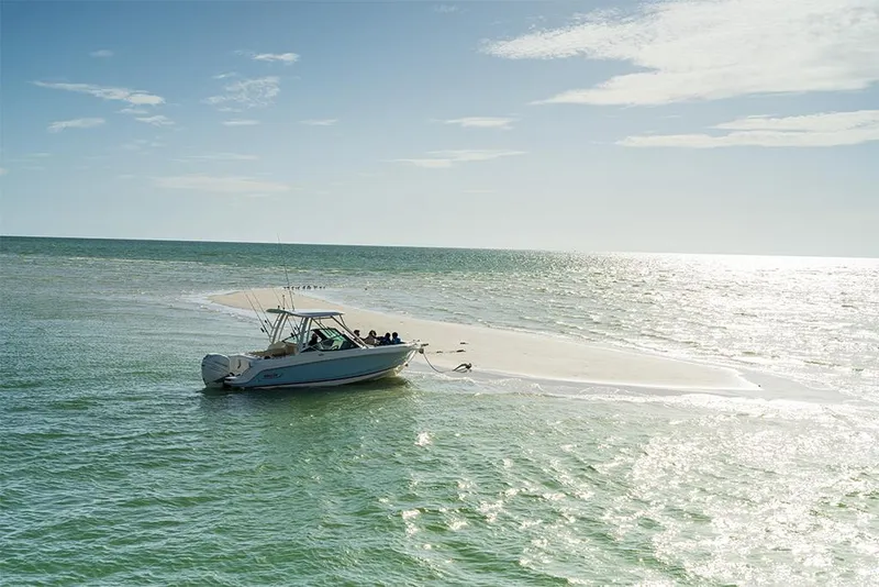 Slide: The Image of Boston Whaler 240 Vantage 2025 - 88