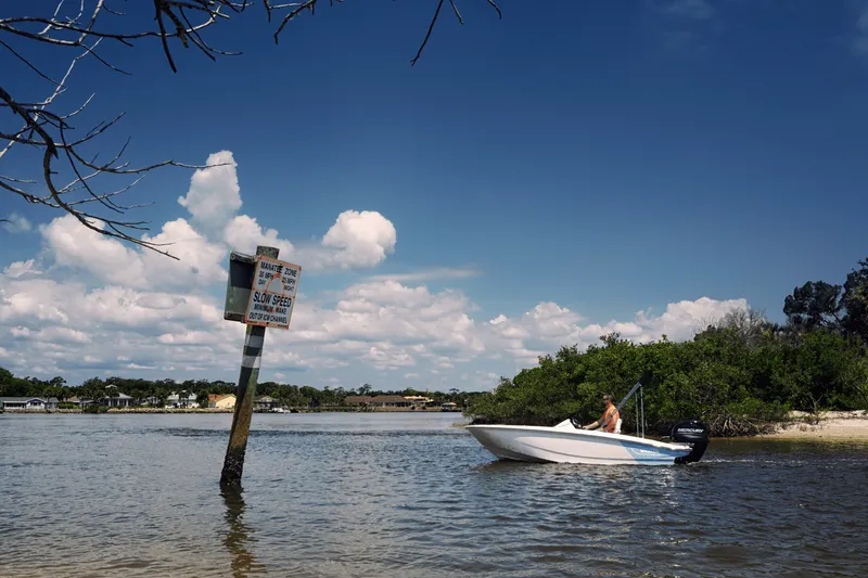 Slide: The Image of Boston Whaler 130 Super Sport 2025 - 41