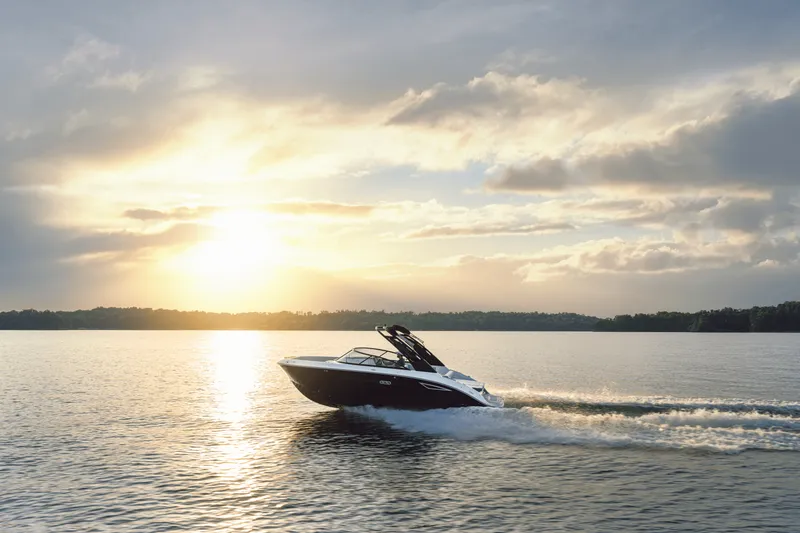 Slide: The Image of Sea Ray 250 SDX 2025 - 108