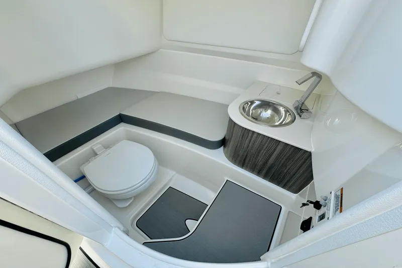 Slide: The Image of Sea Ray 250 SDX 2025 - 31