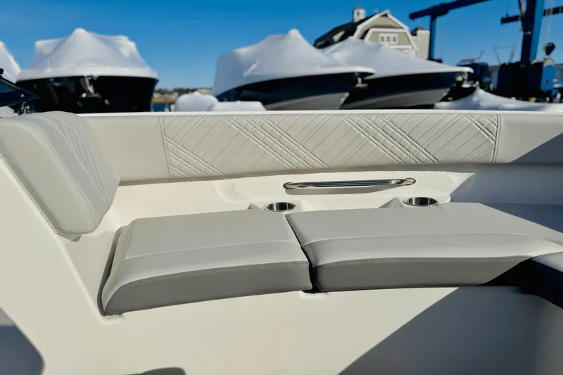 Slide: The Image of Sea Ray 250 SDX 2025 - 35