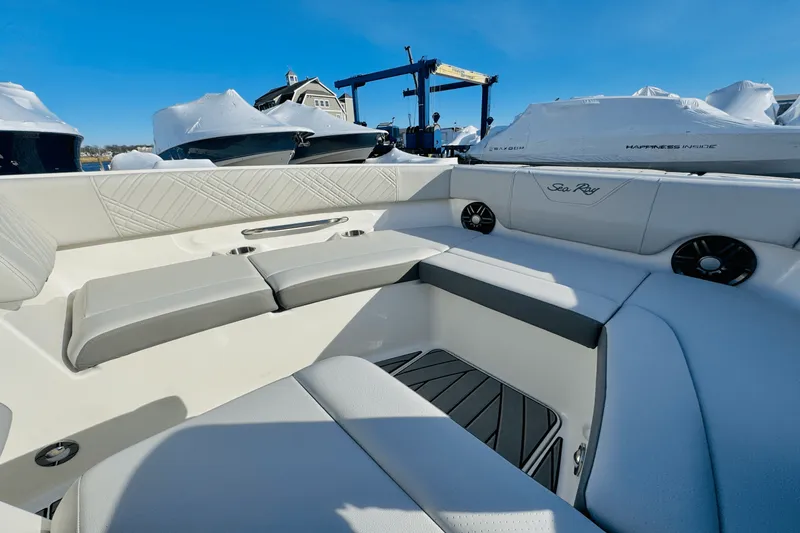 Slide: The Image of Sea Ray 250 SDX 2025 - 36