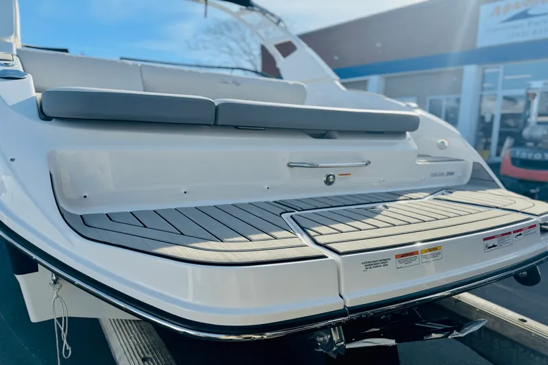 Slide: The Image of Sea Ray 250 SDX 2025 - 5