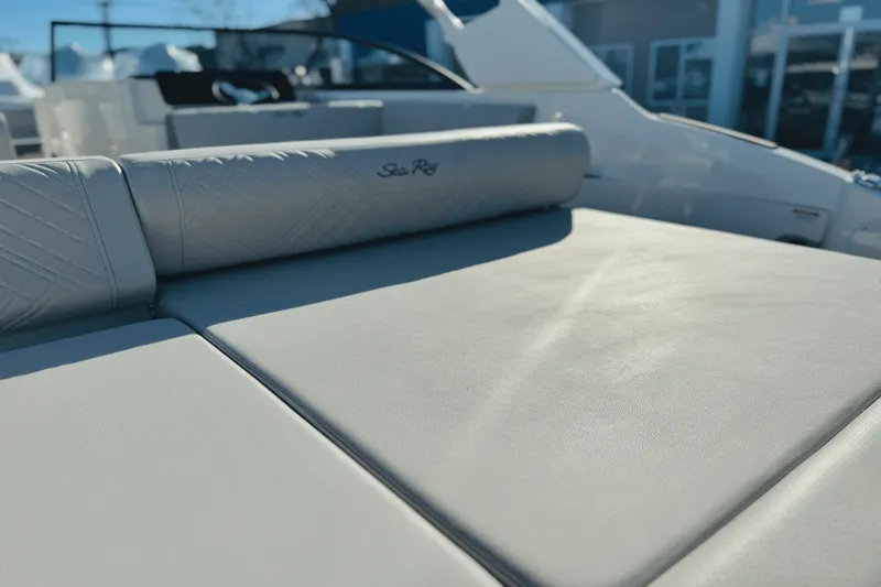 Slide: The Image of Sea Ray 250 SDX 2025 - 9