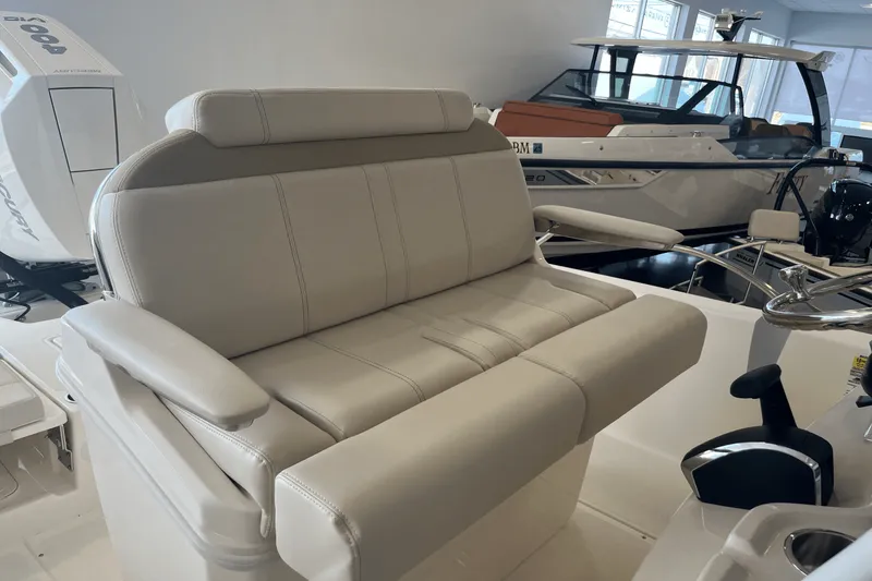 Slide: The Image of Boston Whaler 250 Dauntless 2025 - 10