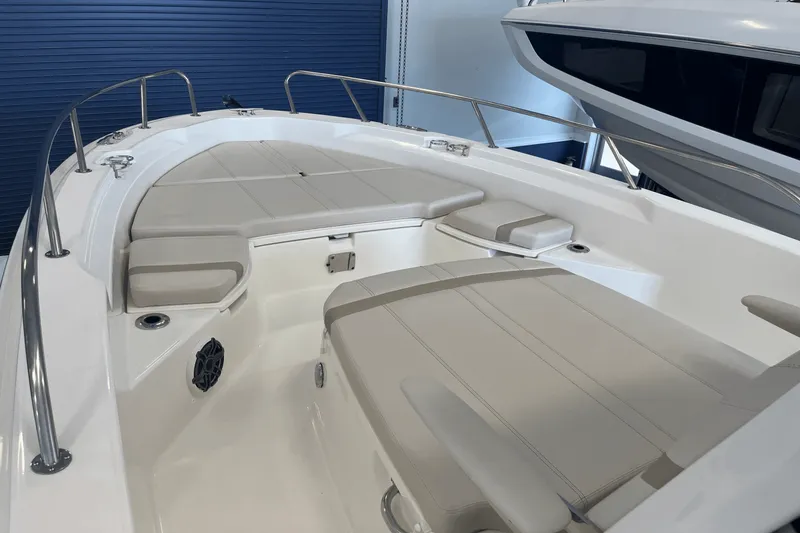 Slide: The Image of Boston Whaler 250 Dauntless 2025 - 14