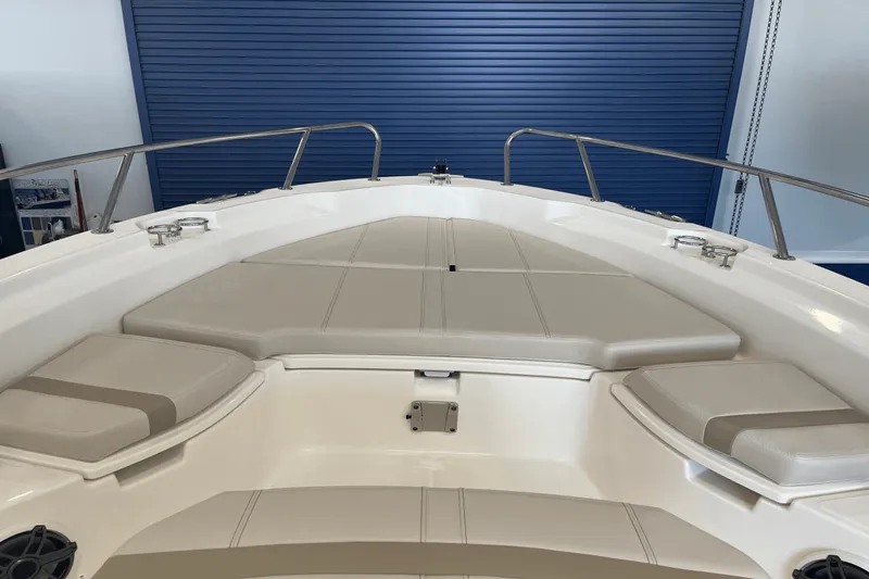 Slide: The Image of Boston Whaler 250 Dauntless 2025 - 15