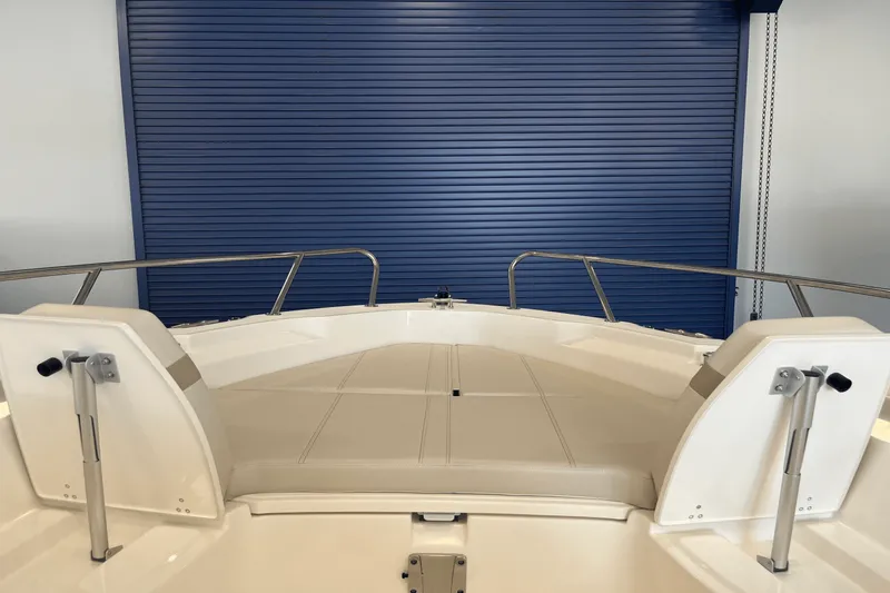 Slide: The Image of Boston Whaler 250 Dauntless 2025 - 16