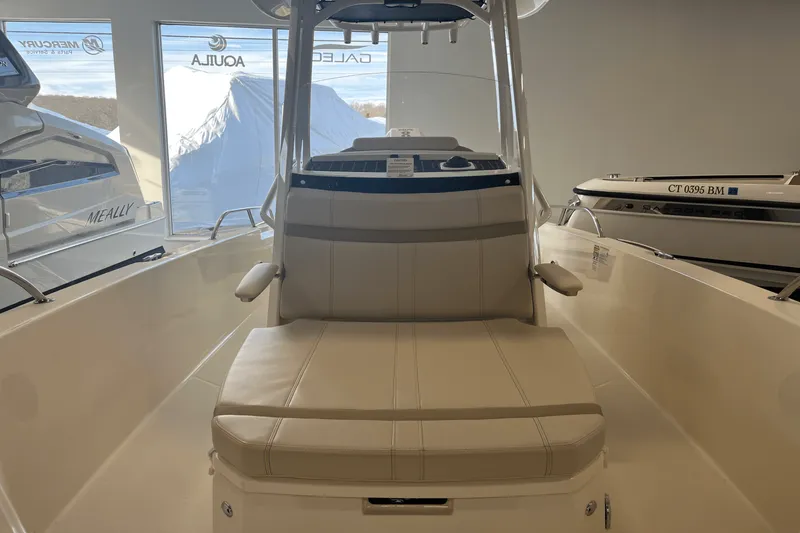 Slide: The Image of Boston Whaler 250 Dauntless 2025 - 17